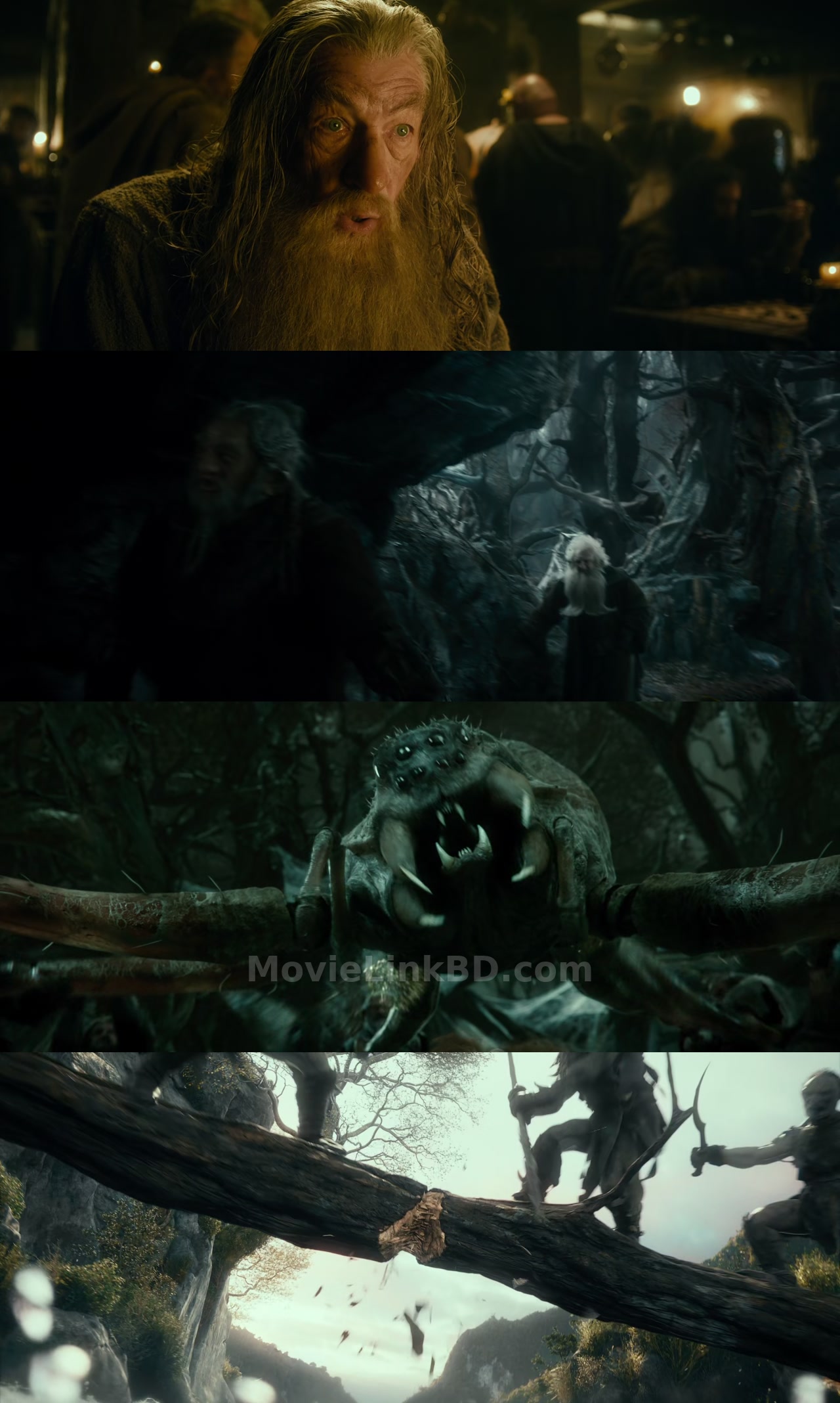 The Hobbit: The Desolation of Smaug (2013) Hindi Download | MovieLinkBD Movie