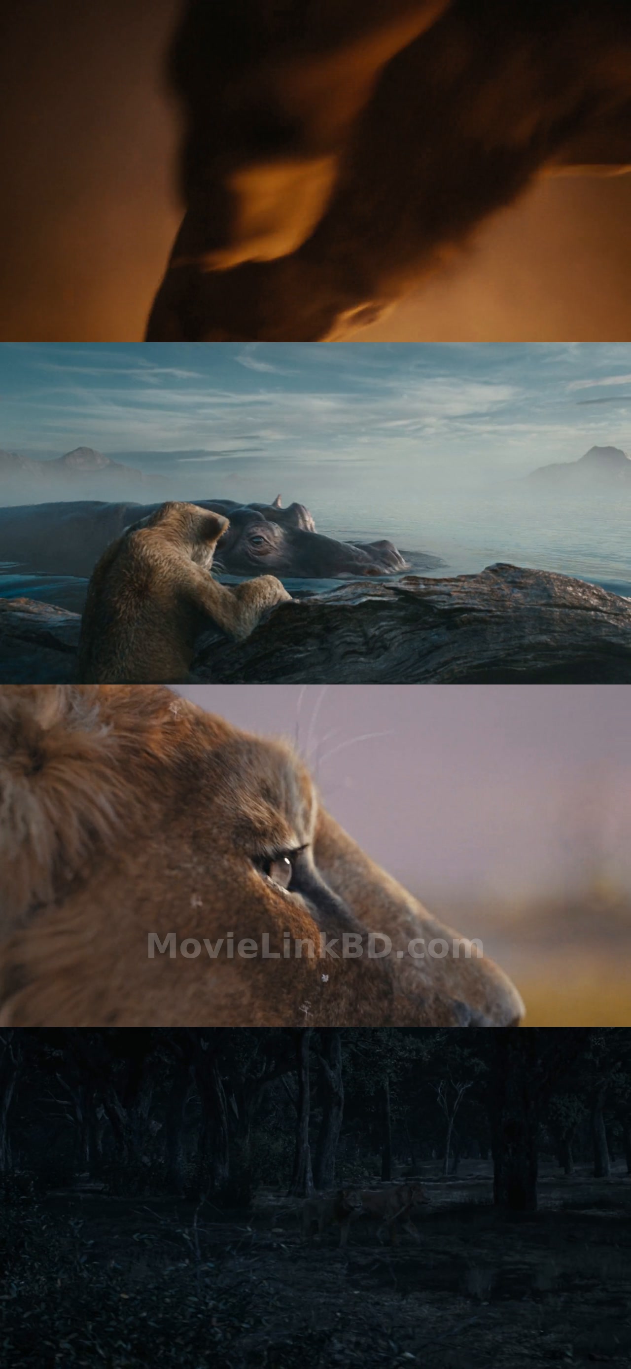 Mufasa: The Lion King  - (2024) Hindi Download | MovieLinkBD Movie