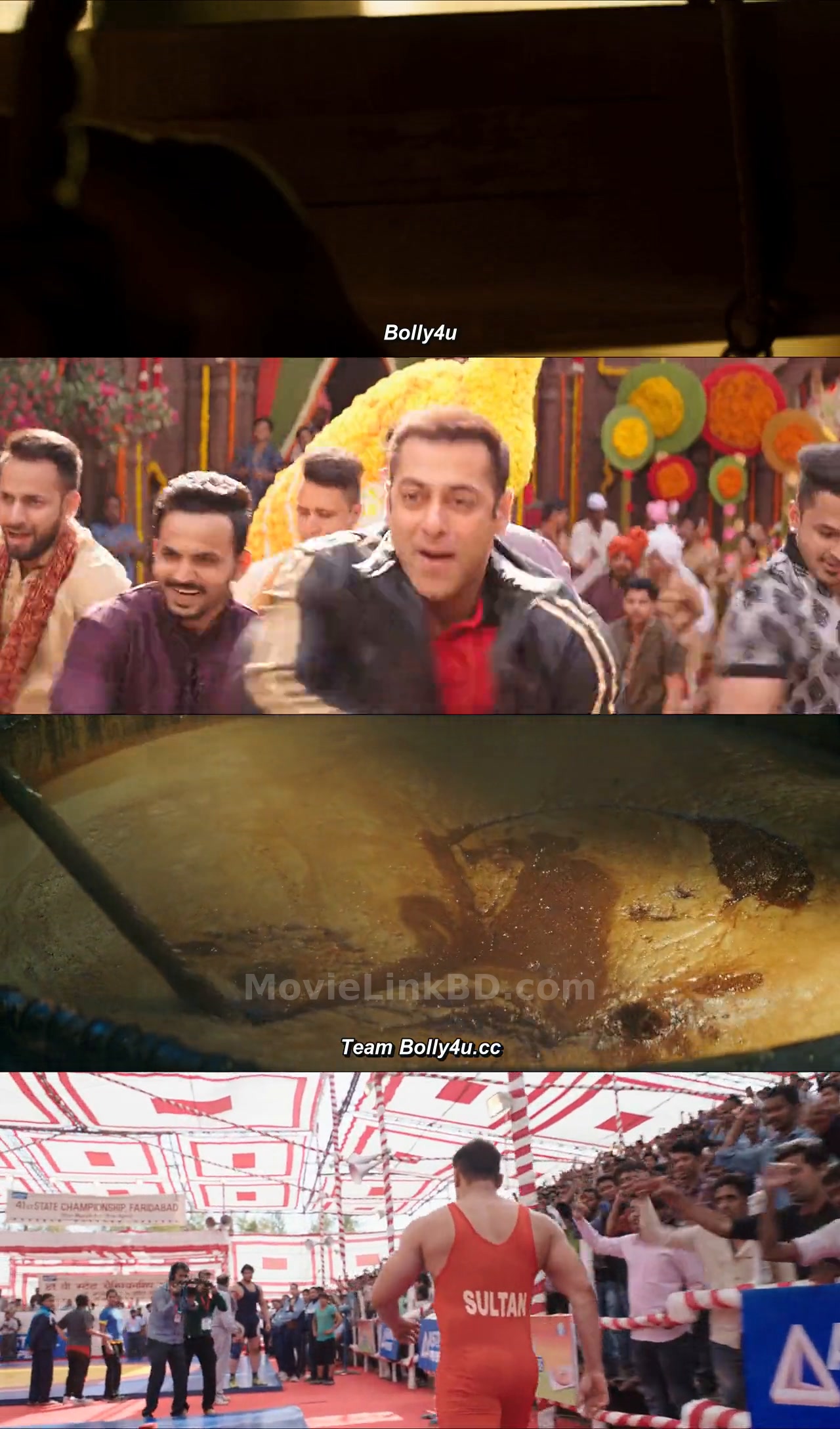 Sultan (2016) Hindi Download | MovieLinkBD Movie