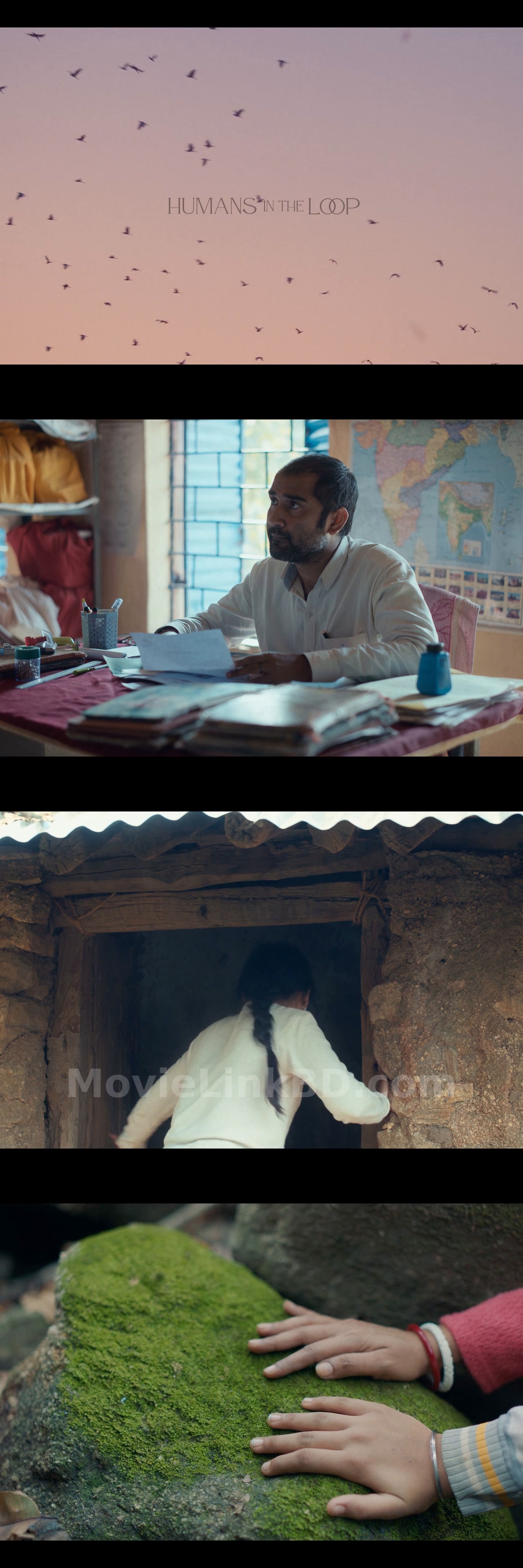 Humans in the Loop (2024) Hindi Download | MovieLinkBD Movie