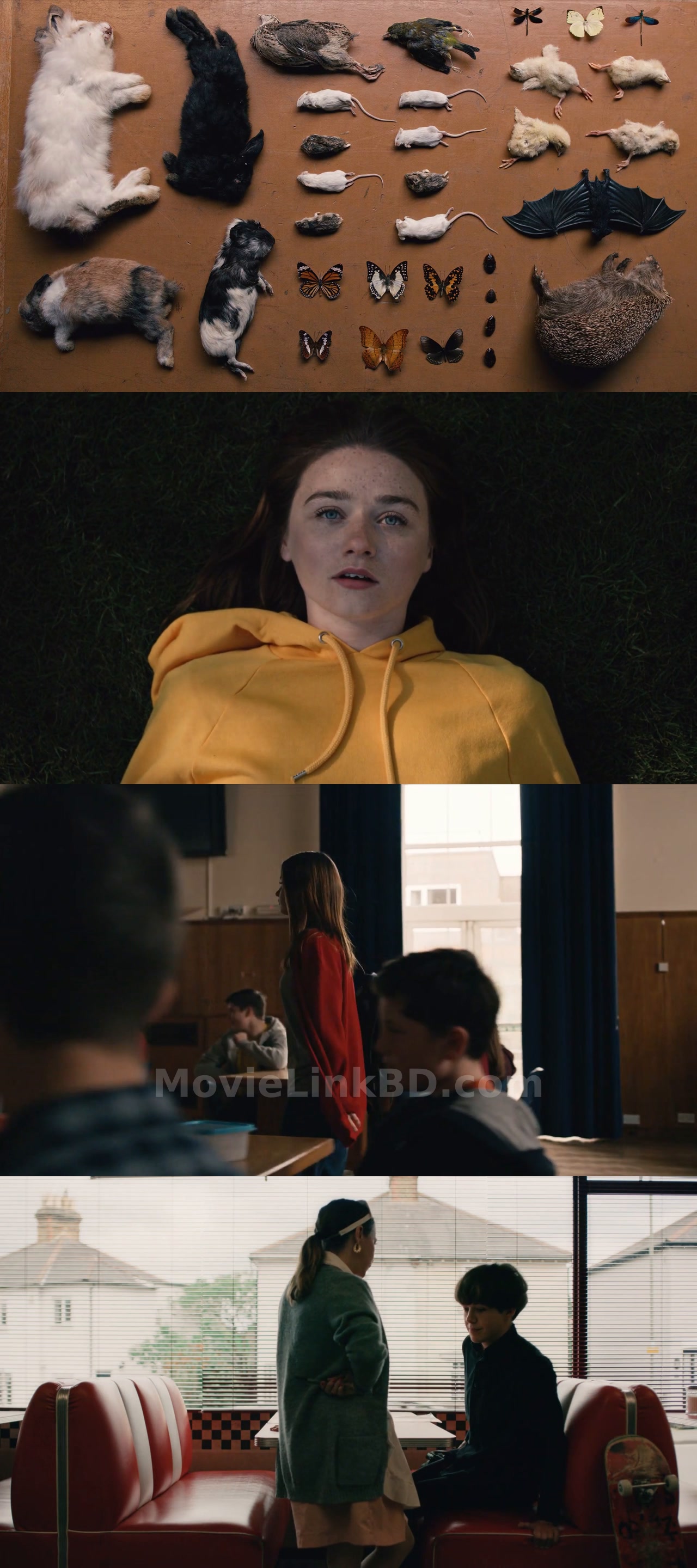 Screenshot of The End of the F***ing World (2017) S01 Bangla Dubbed Download | MovieLinkBD