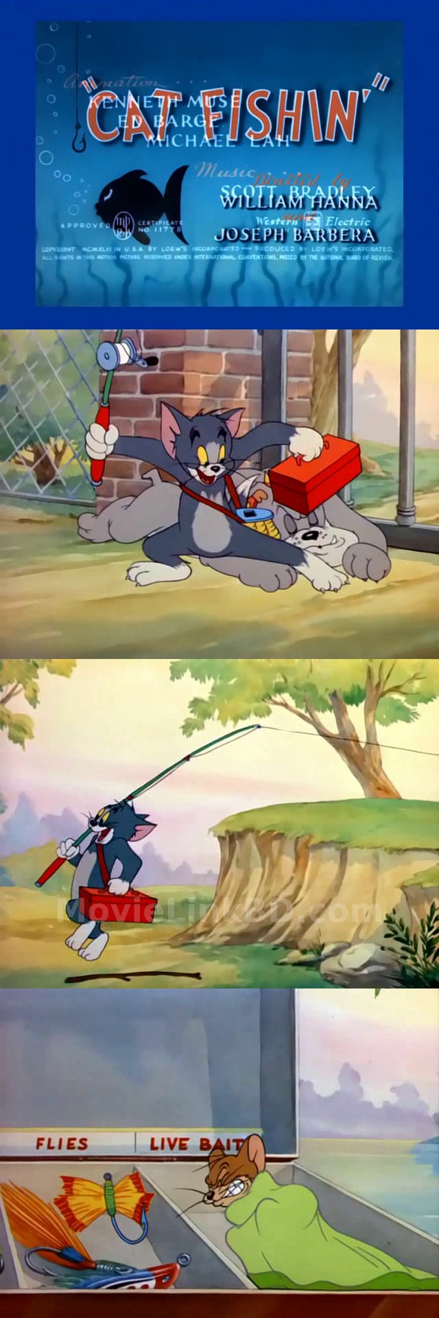 Tom and jerry -Bangla Dubbed ORG-Epi 1-48- Added-Low file size✅ (1940) Bangla Dubbed Download | MovieLinkBD Episode 41