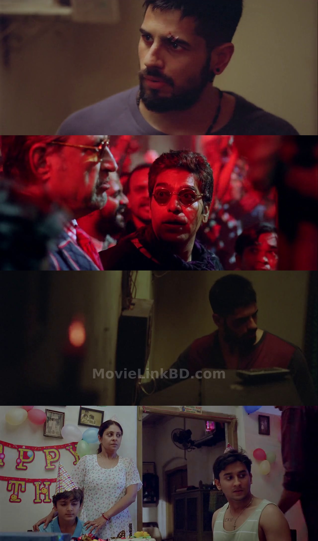 Brothers (2015) Hindi Download | MovieLinkBD Movie