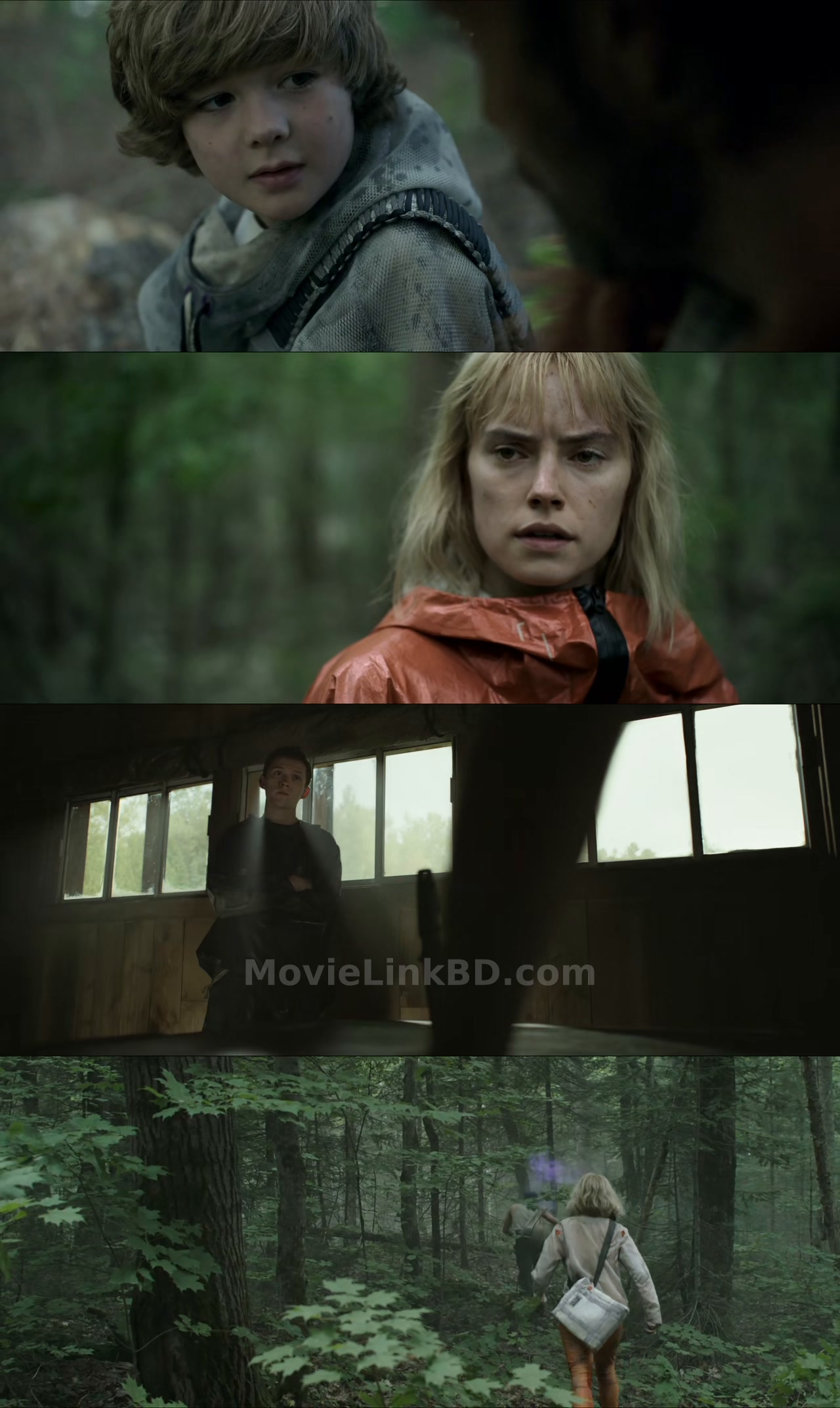 Chaos Walking (2021) English Download | MovieLinkBD Movie