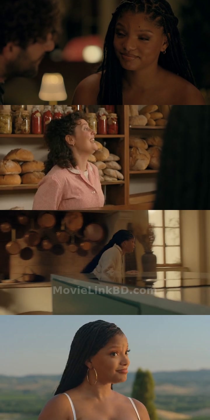 You, Me &amp; Tuscany  Hindi ORG (2026) English Download | MovieLinkBD Shop Movie