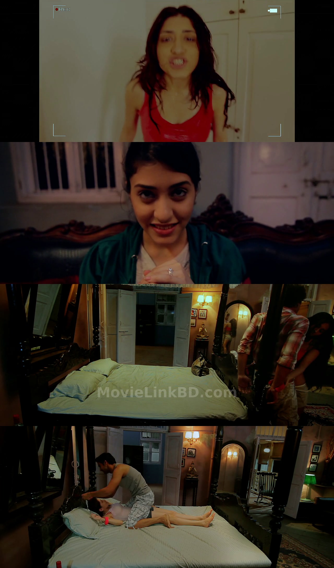 Ragini MMS (2011) Hindi Download | MovieLinkBD Movie