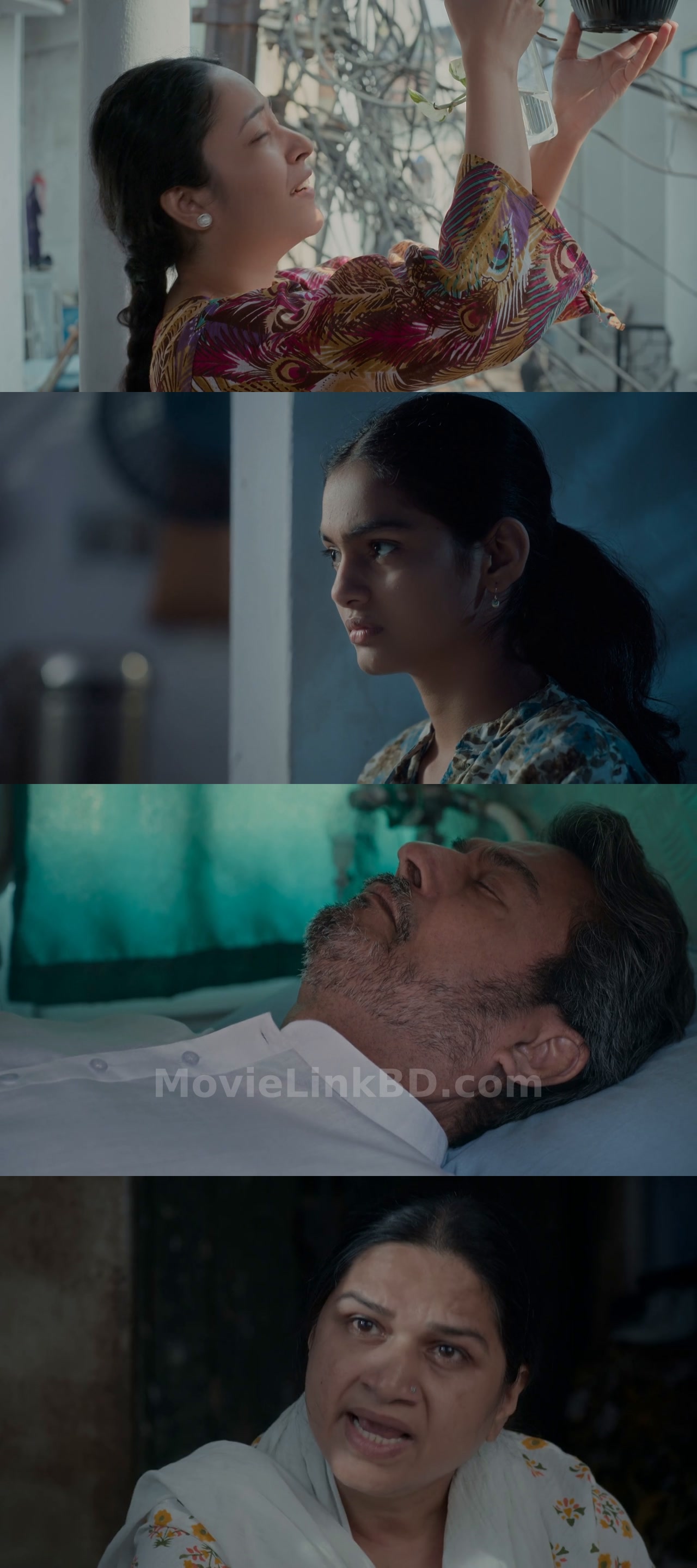 Safia / Safdar (2026) Hindi Download | MovieLinkBD Movie