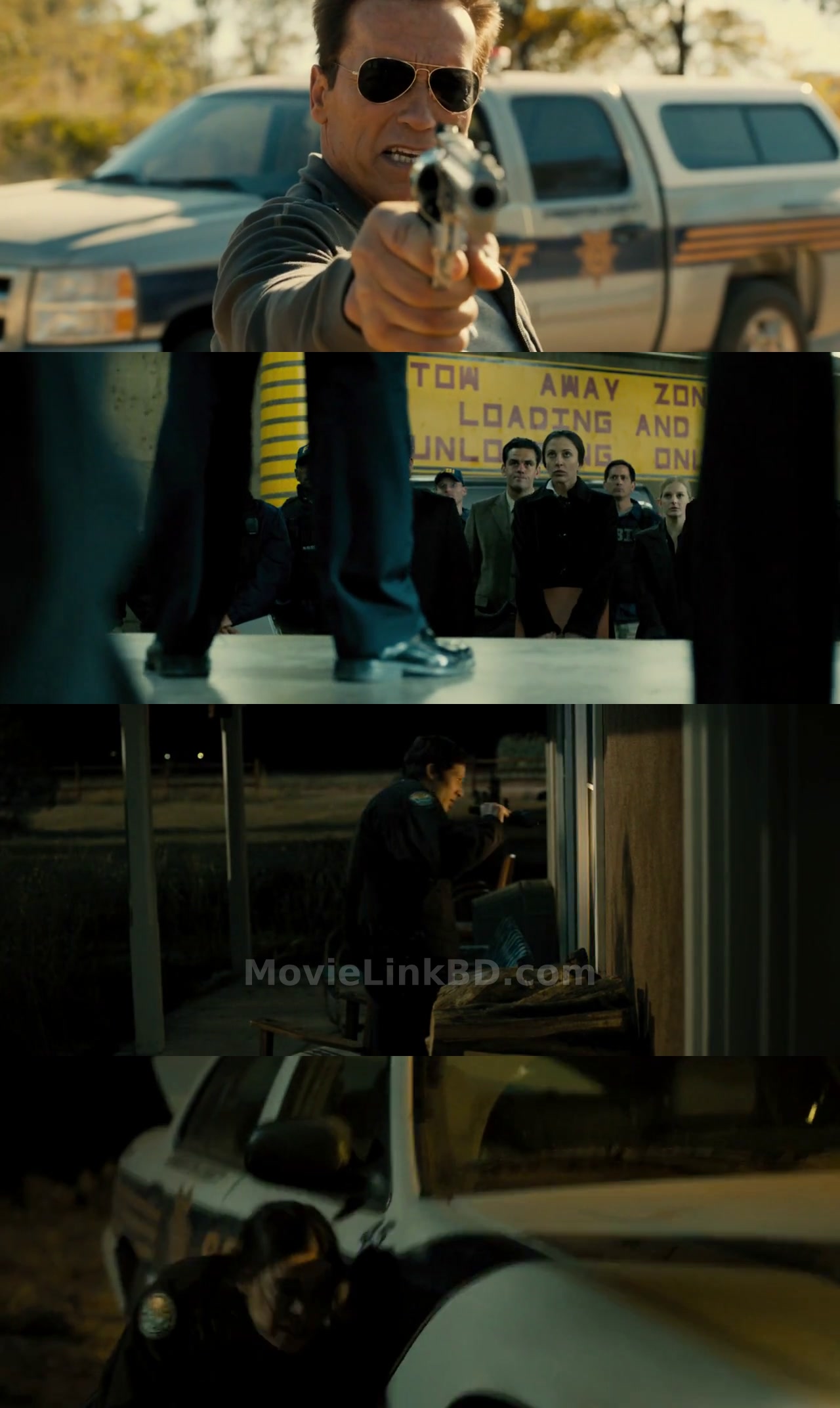 The Last Stand (2013) Hindi Download | MovieLinkBD Movie