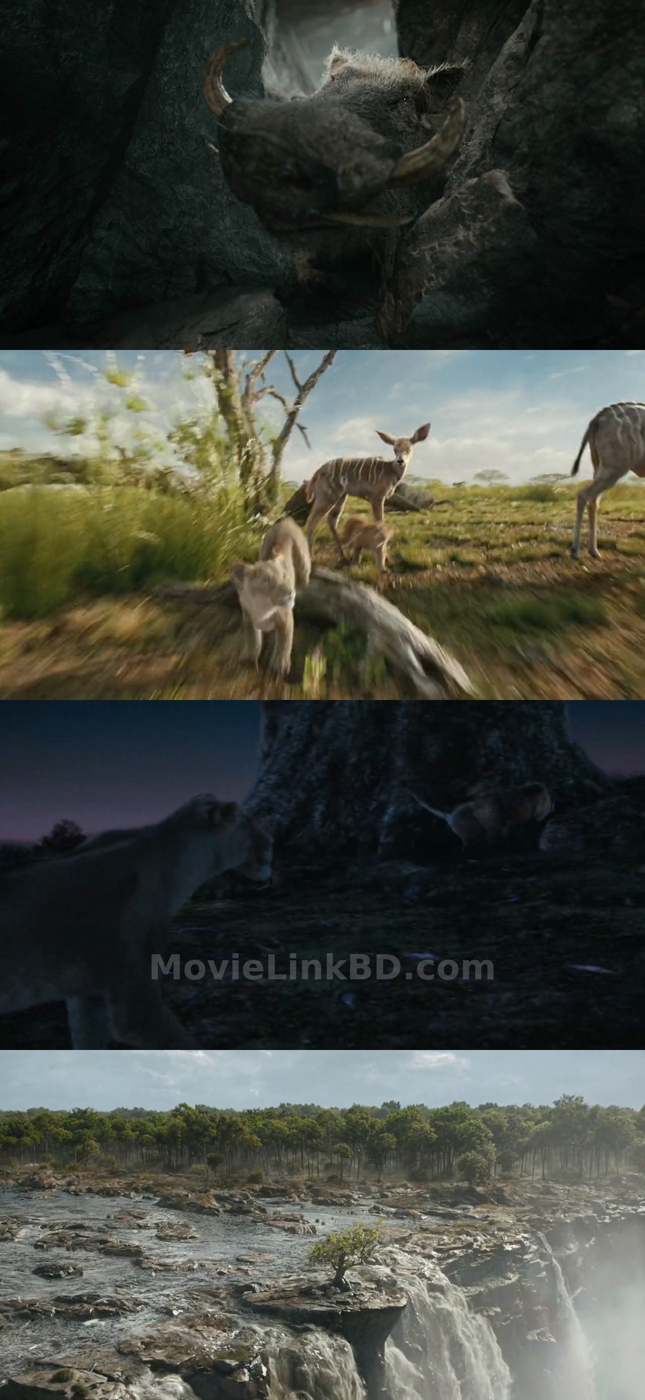 Mufasa: The Lion King  - (2024) Hindi Download | MovieLinkBD Movie