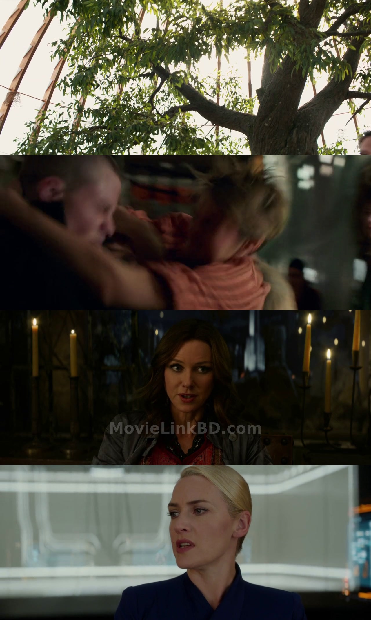 Insurgent (2015) English Download | MovieLinkBD Movie