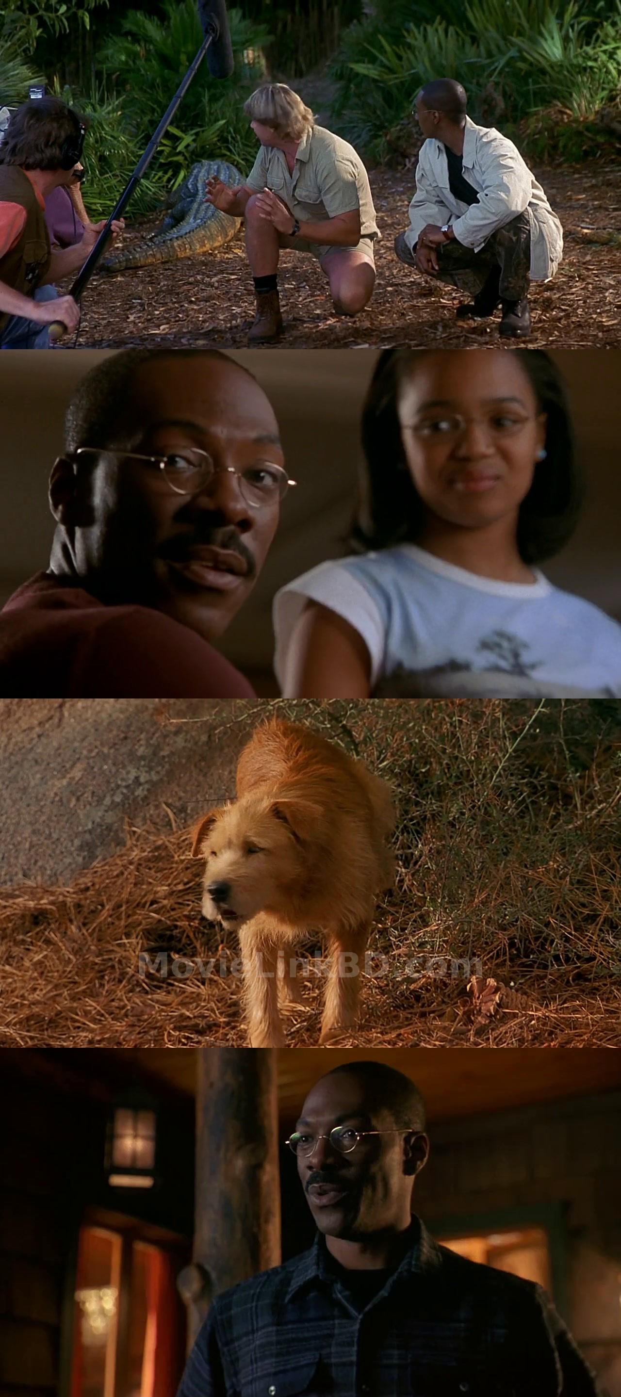 Dr Dolittle 2 (2001) English Download | MovieLinkBD Movie