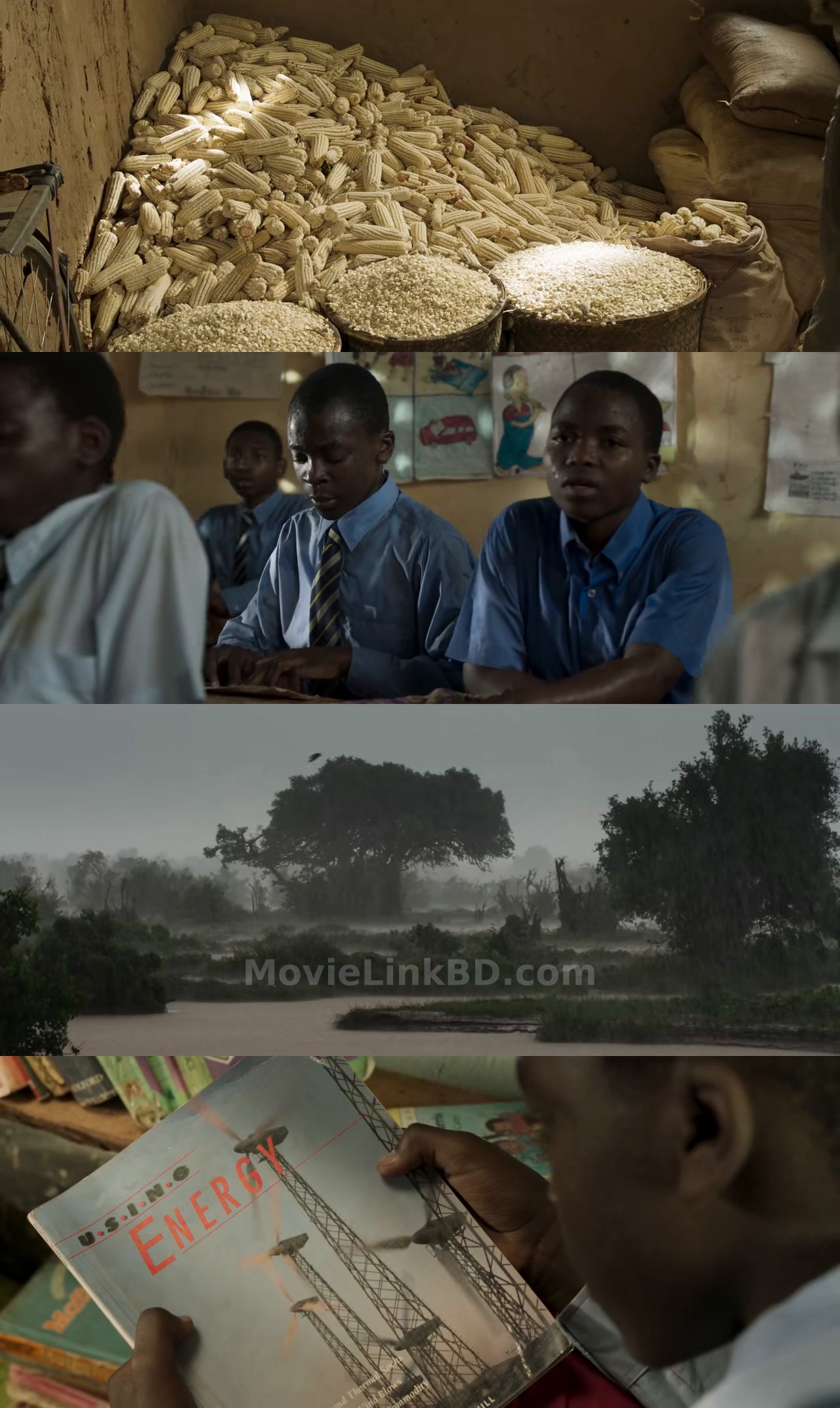 The Boy Who Harnessed the Wind English Download | MovieLinkBD Movie