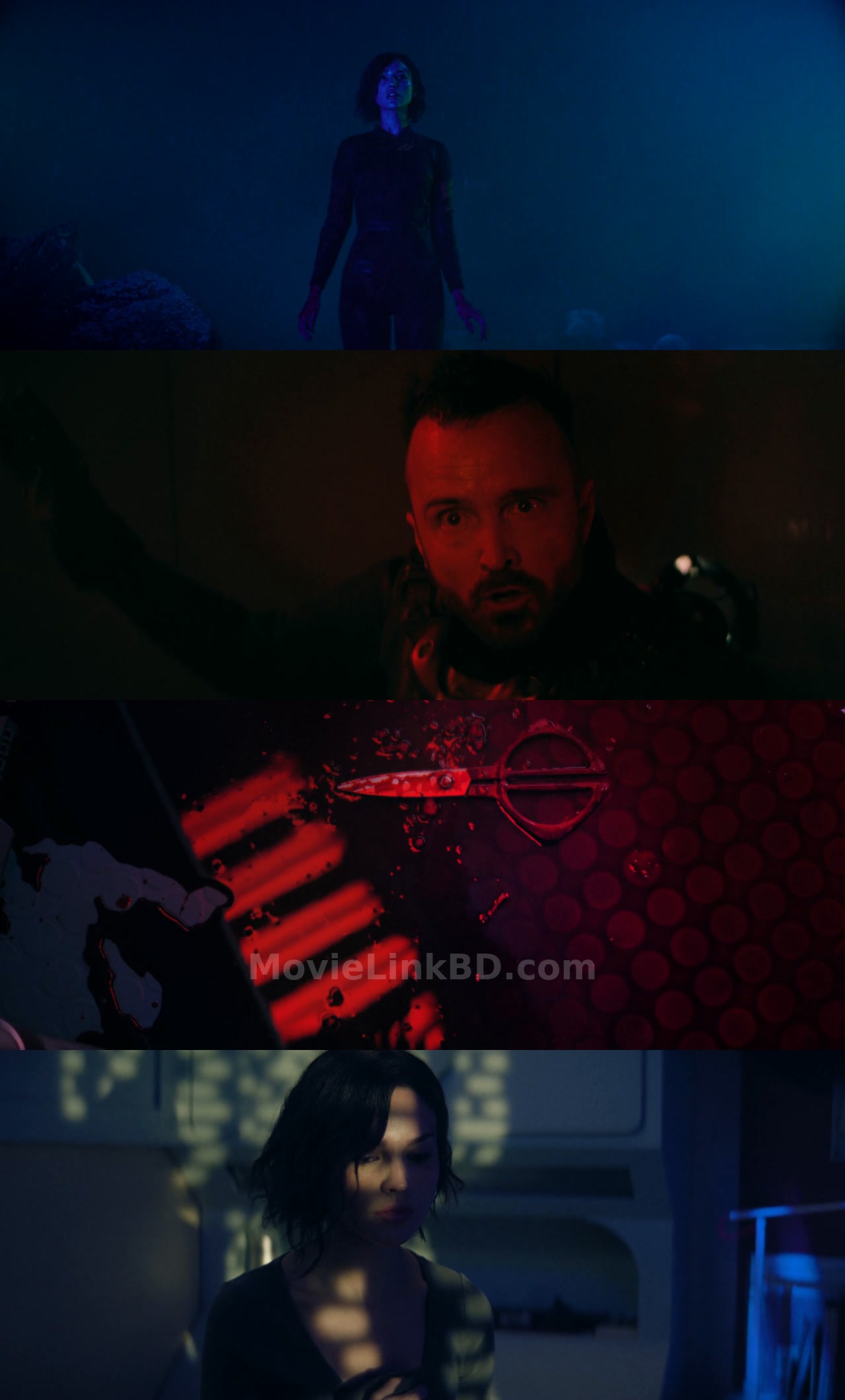 Ash (2025) Hindi Download | MovieLinkBD Movie