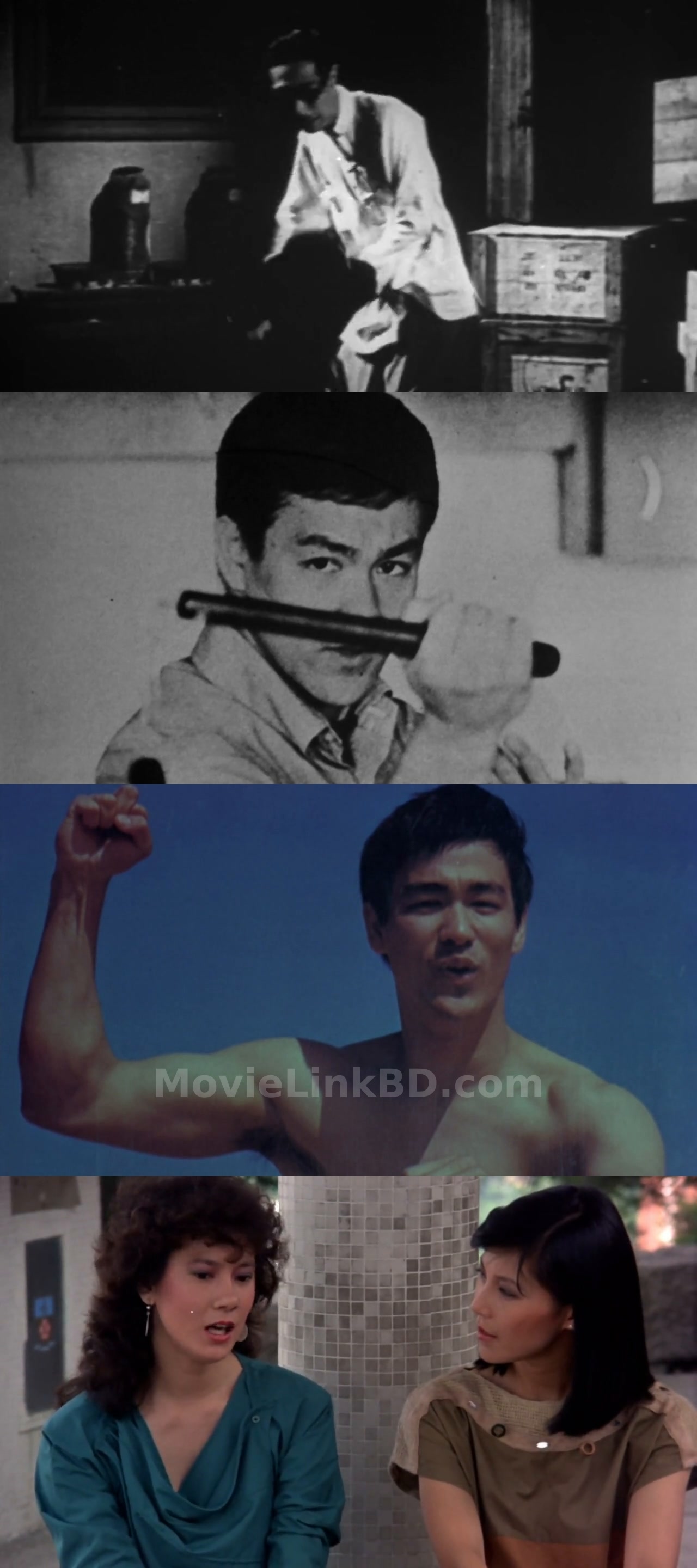Bruce Lee, My Brother (2010) English Download | MovieLinkBD Movie