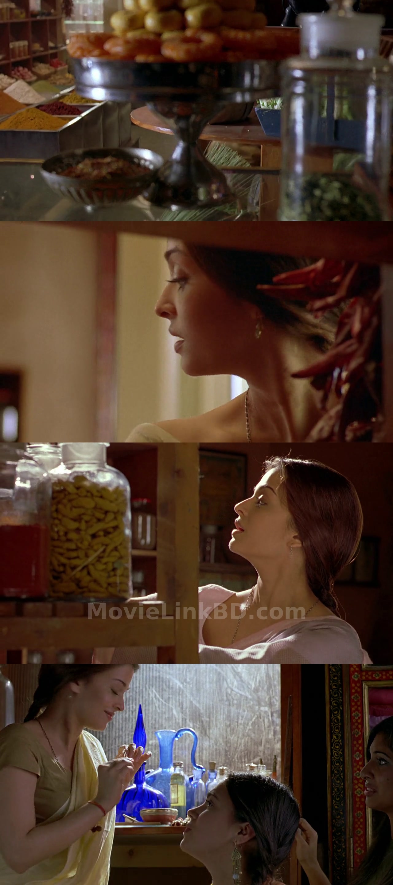 The Mistress of Spices (2006) Hindi Download | MovieLinkBD Movie