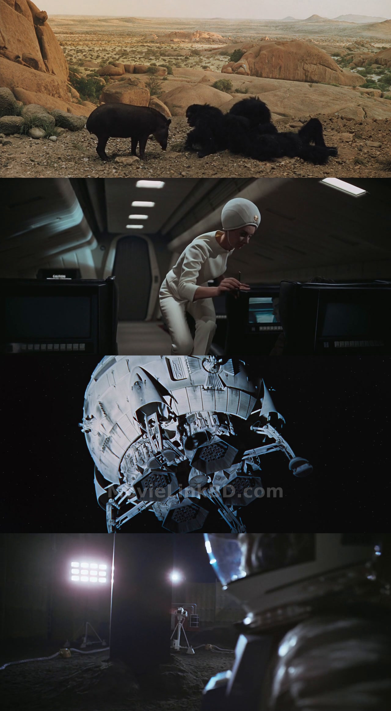 2001: A Space Odyssey (1968) English Download | MovieLinkBD Movie