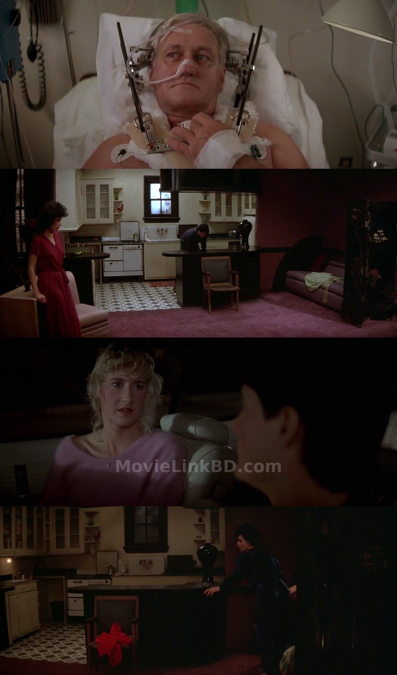 Blue Velvet (1986) Hindi Download | MovieLinkBD Movie