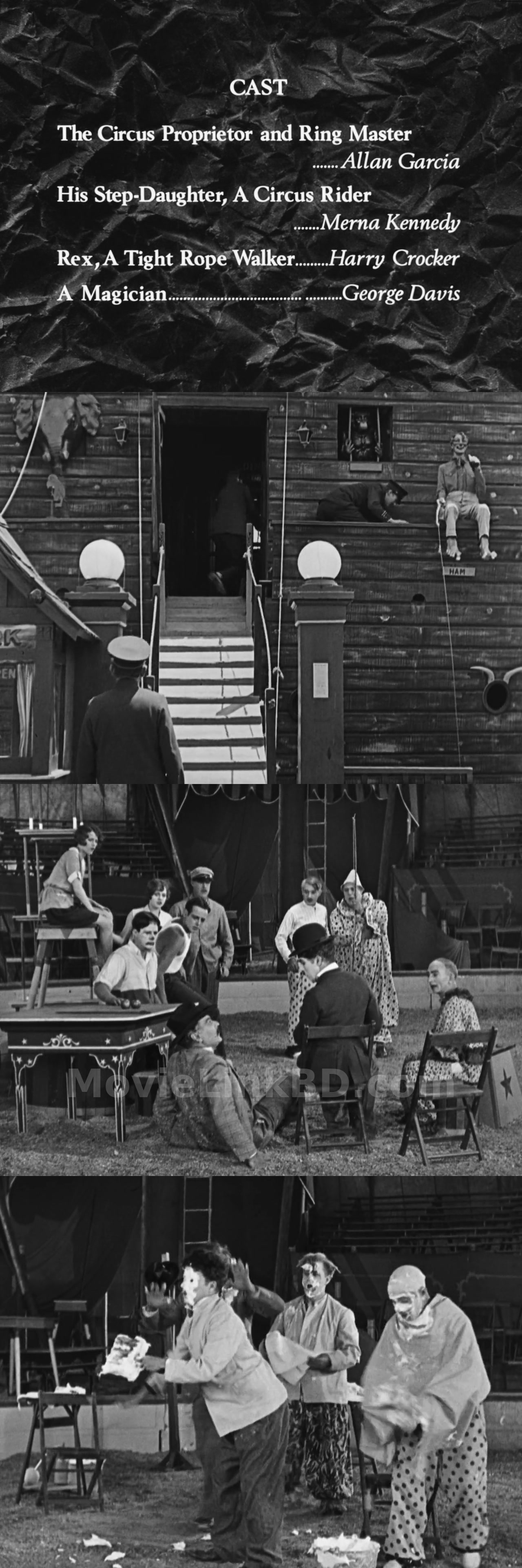 The Circus (1928) English Download | MovieLinkBD TV Movie