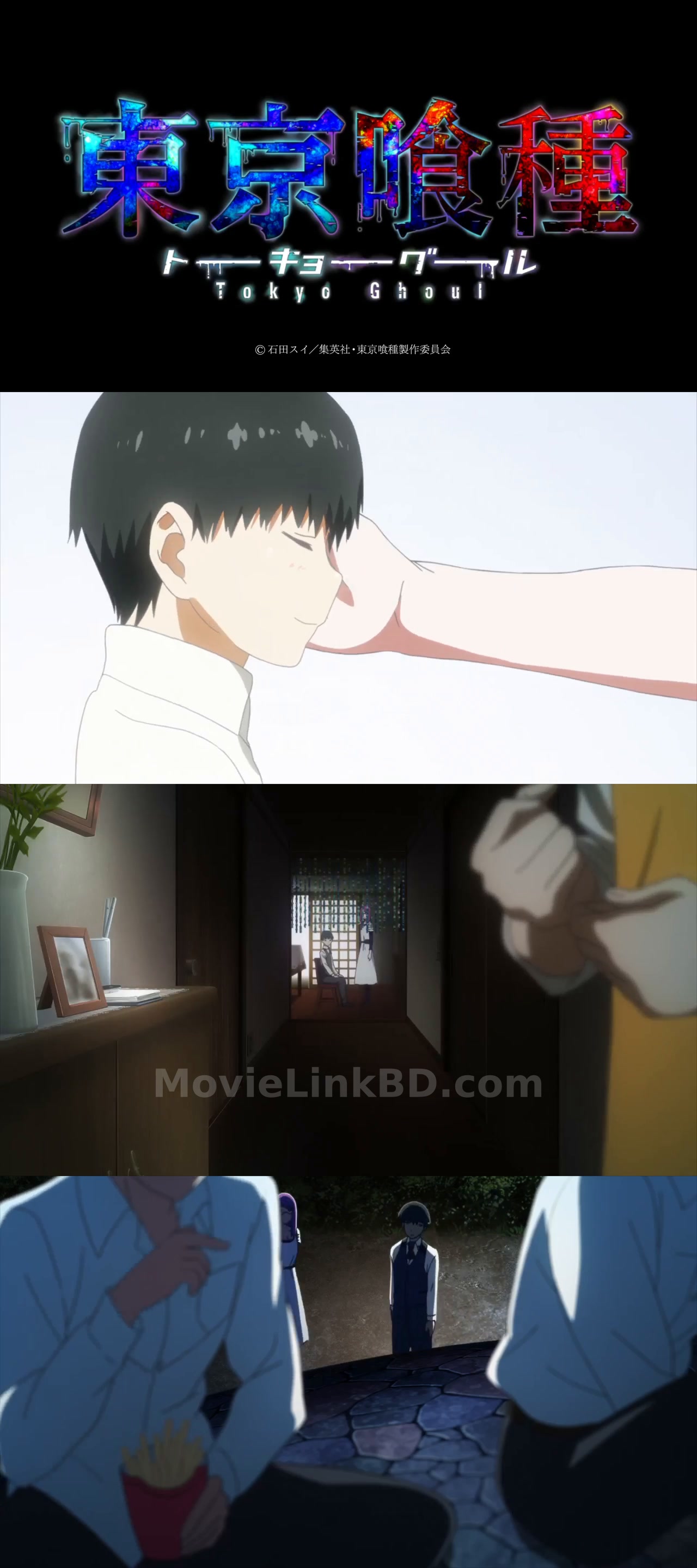 Tokyo Ghoul (2014) S01 Hindi Download | MovieLinkBD TV Season 1 Episode 12