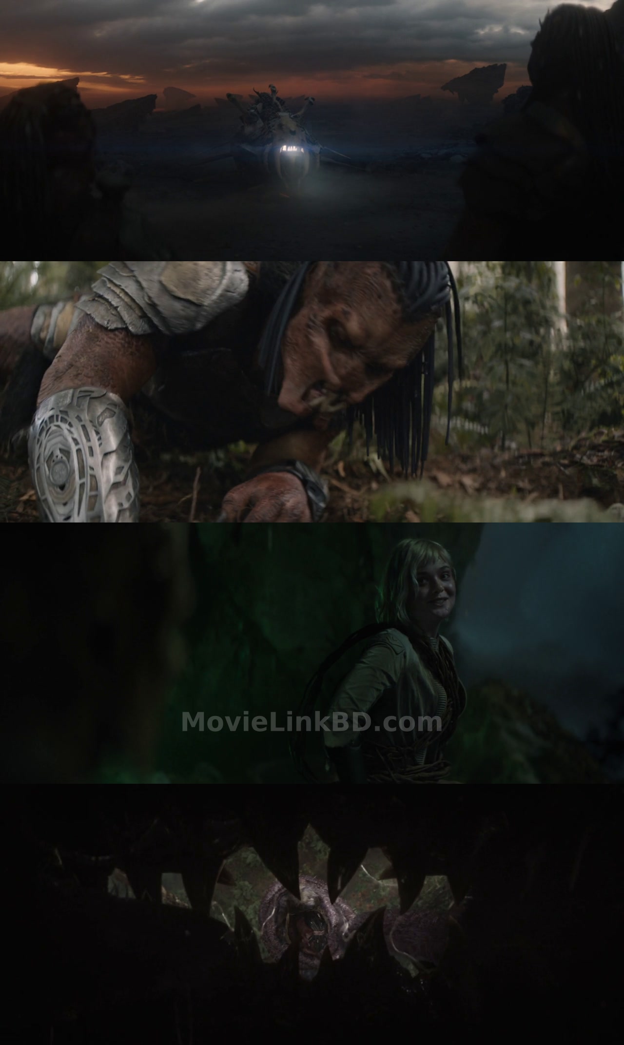 Predator: Badlands (2025) English Download | MovieLinkBD TV Movie