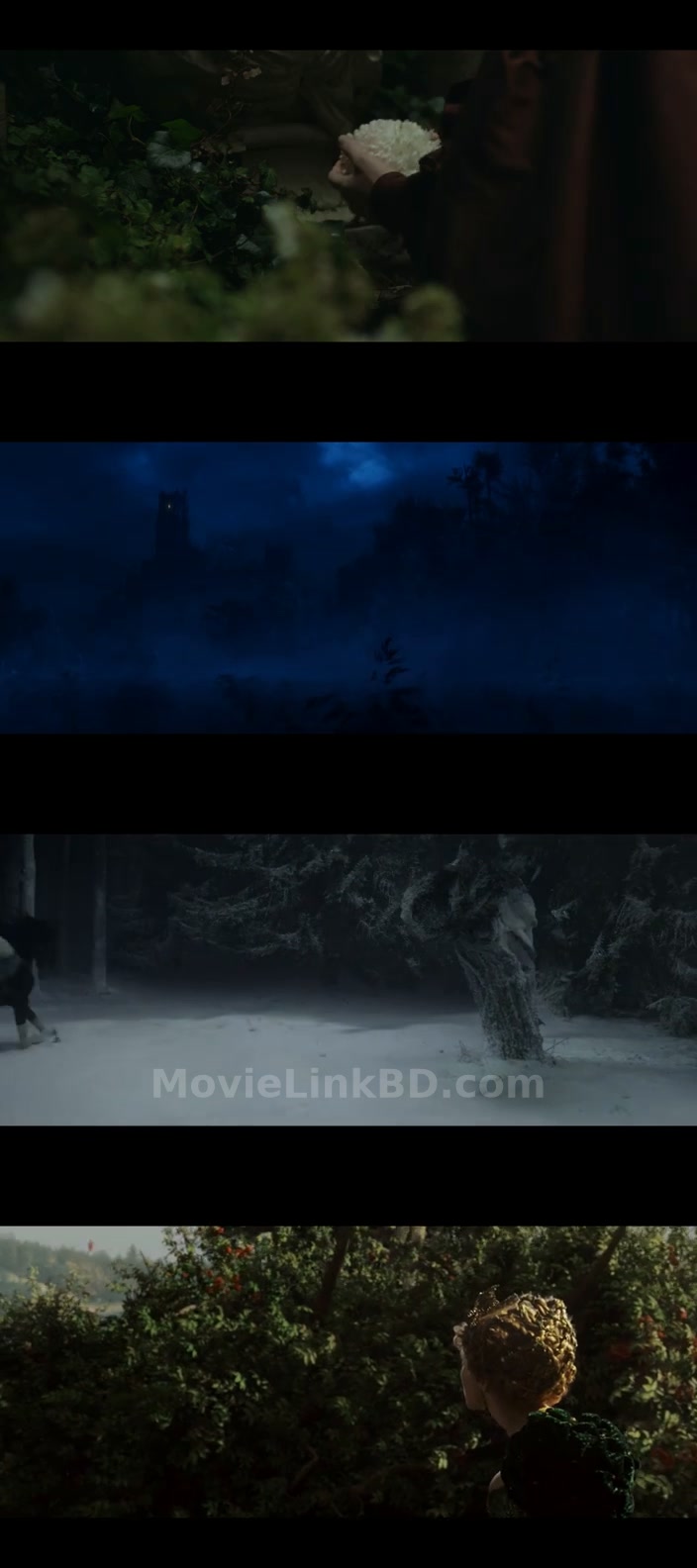 Beauty and the Beast (2014) English Download | MovieLinkBD Shop Movie
