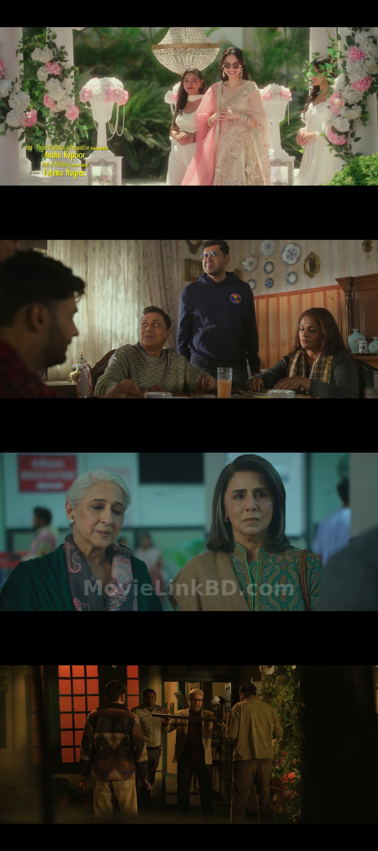 Daadi Ki Shaadi (2026) Hindi Download | MovieLinkBD TV Movie