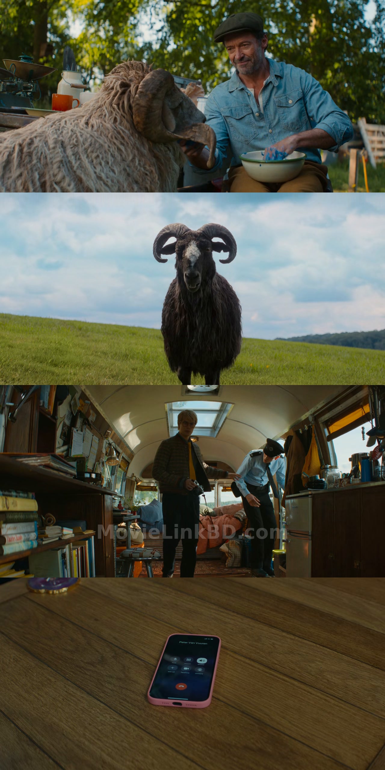 The Sheep Detectives  Full HD Hindi ORG (2026) Hindi Download | MovieLinkBD TV Movie