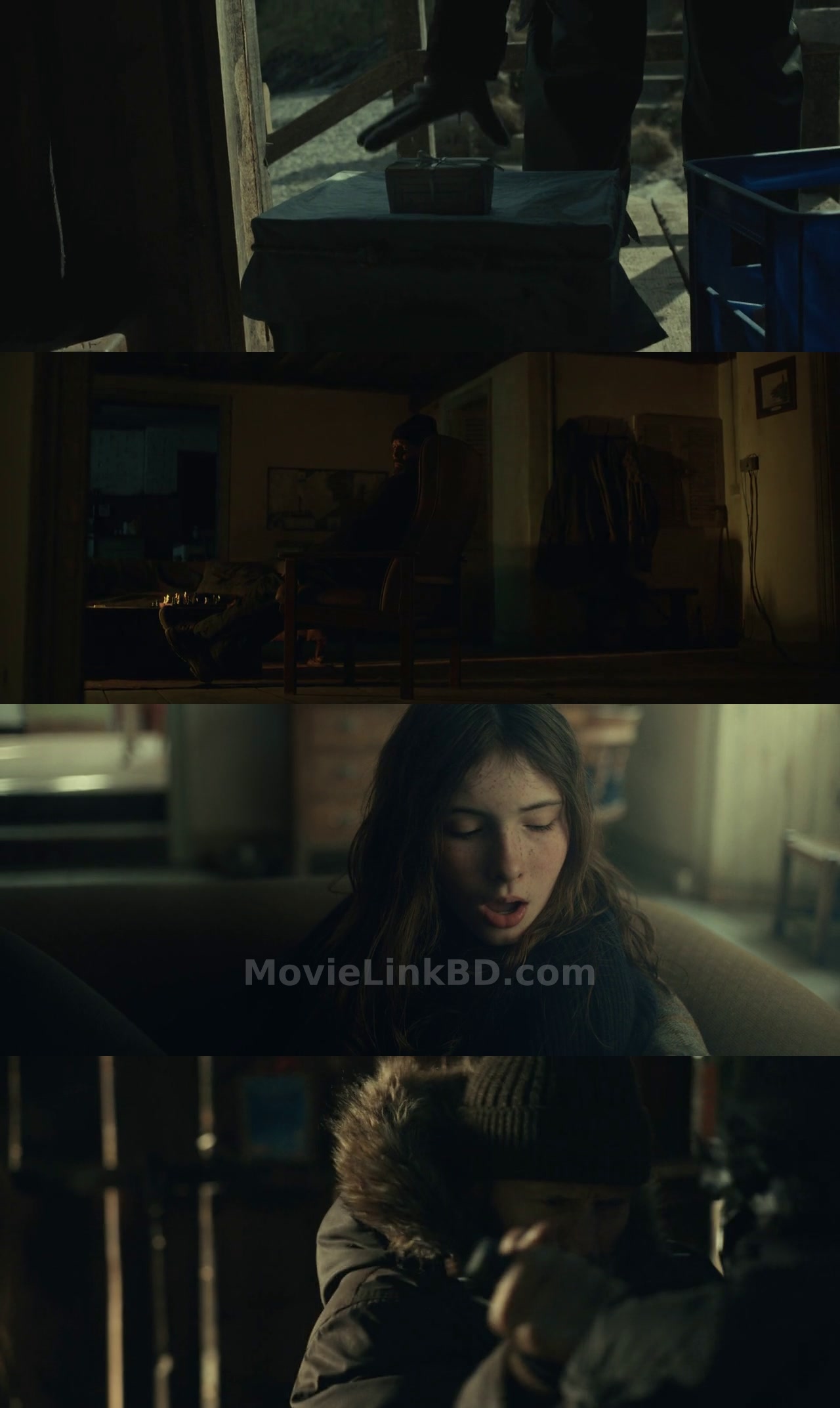 Shelter  Full HD Hindi ORG (2026) English Download | MovieLinkBD TV Movie