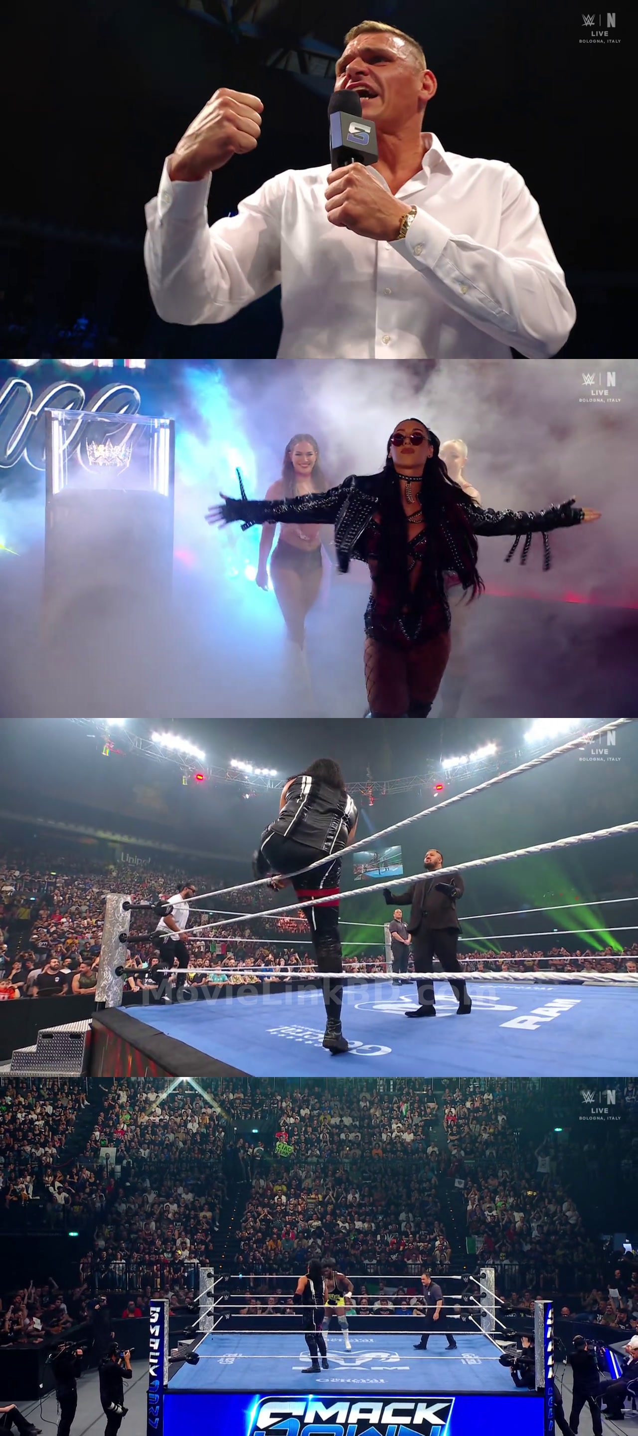 WWE Friday Night SmackDown Hindi Download | MovieLinkBD TV Movie