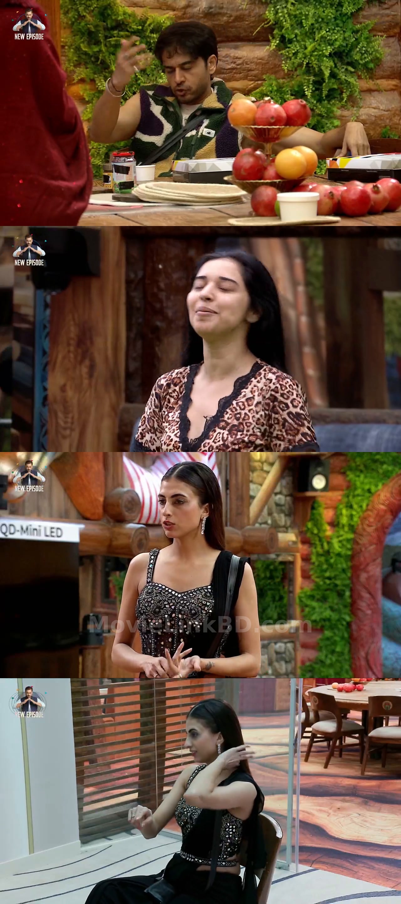 Bigg Boss Grand Premiere (2025) S19 Hindi Download | MovieLinkBD TV Episode 100