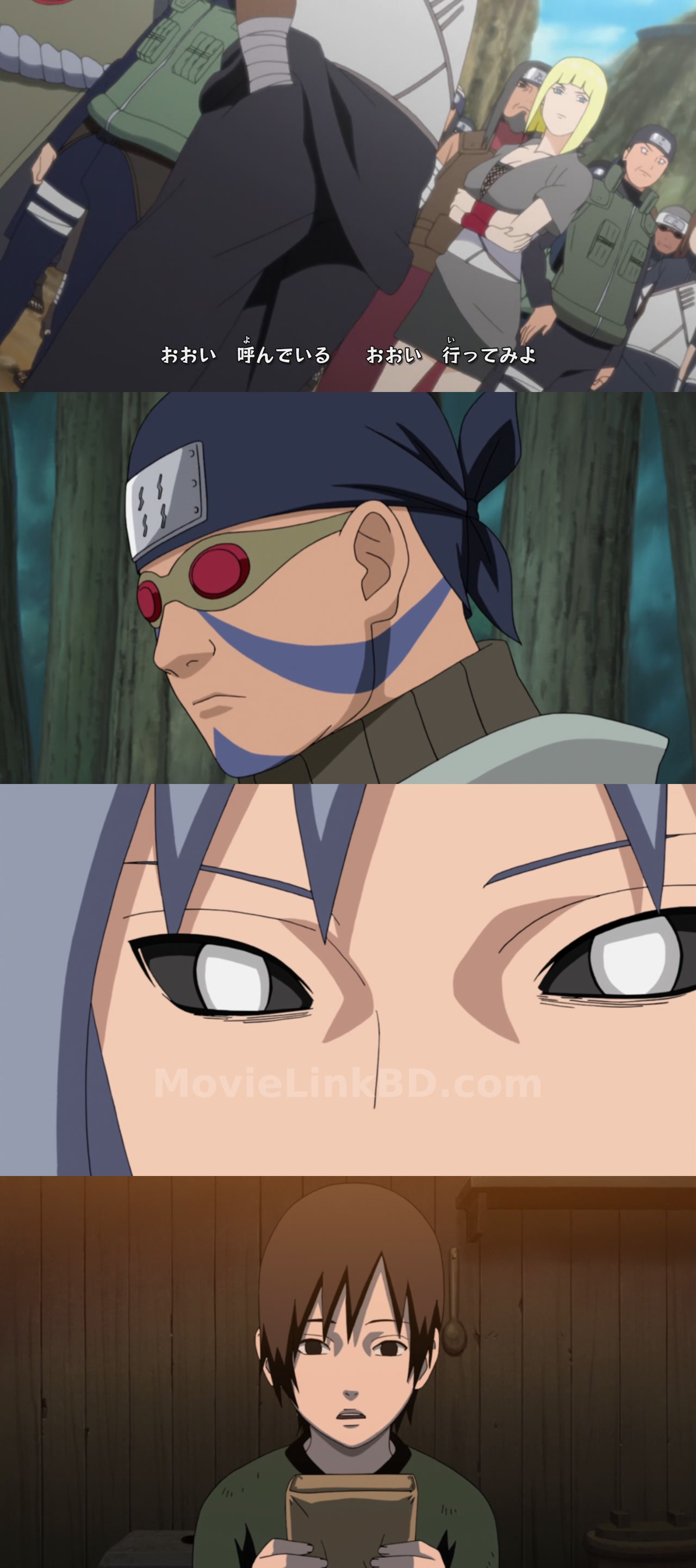 Naruto: Shippuden (2007) S12 Hindi Download | MovieLinkBD TV S12E263