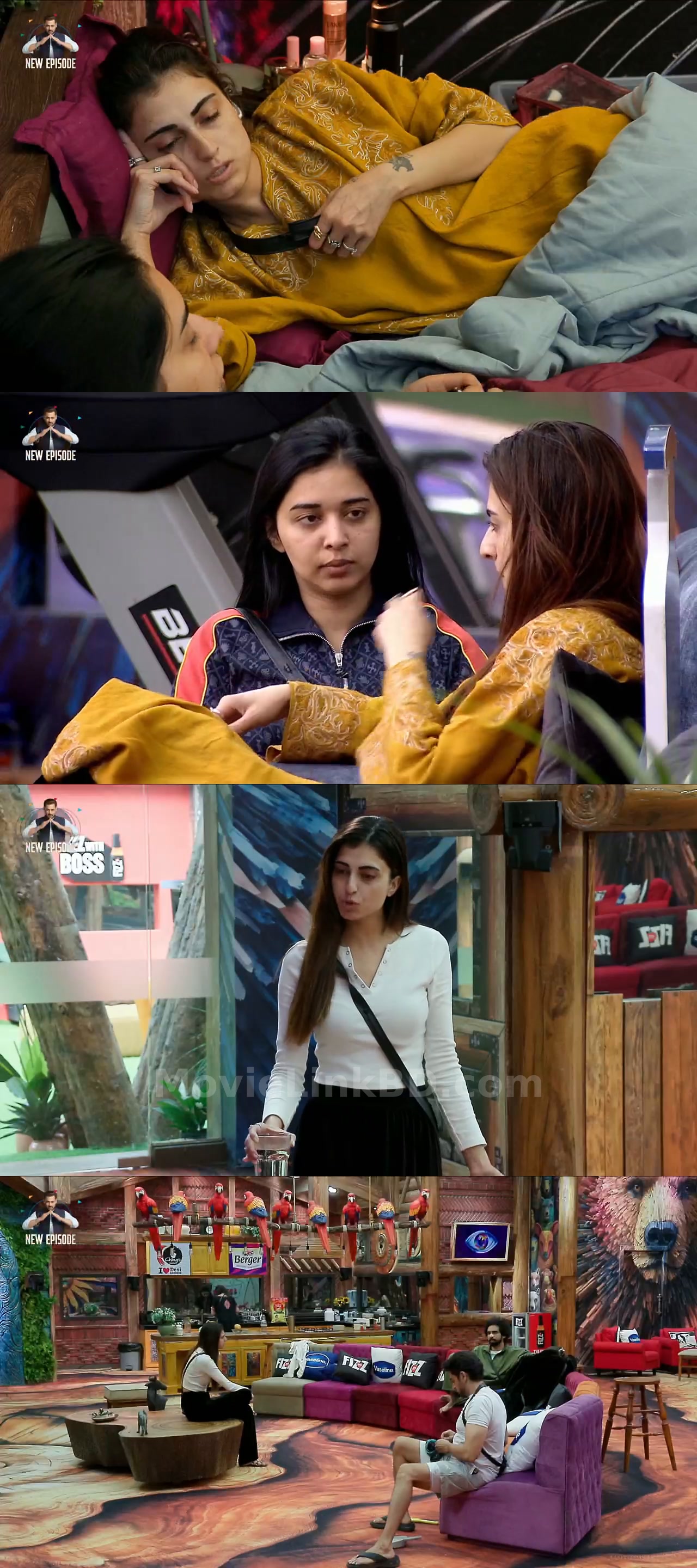 Bigg Boss Grand Premiere (2025) S19 Hindi Download | MovieLinkBD TV Episode 79