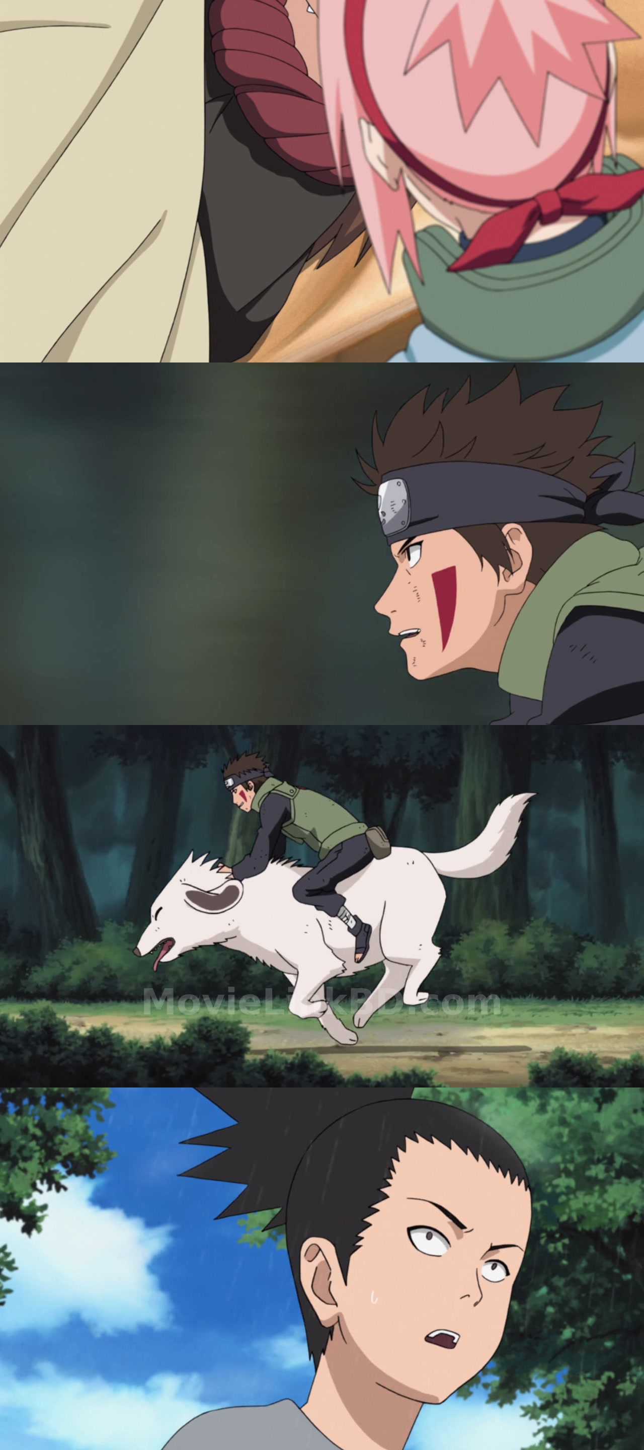 Naruto: Shippuden (2007) S14 Japanese Download | MovieLinkBD TV Episode 313
