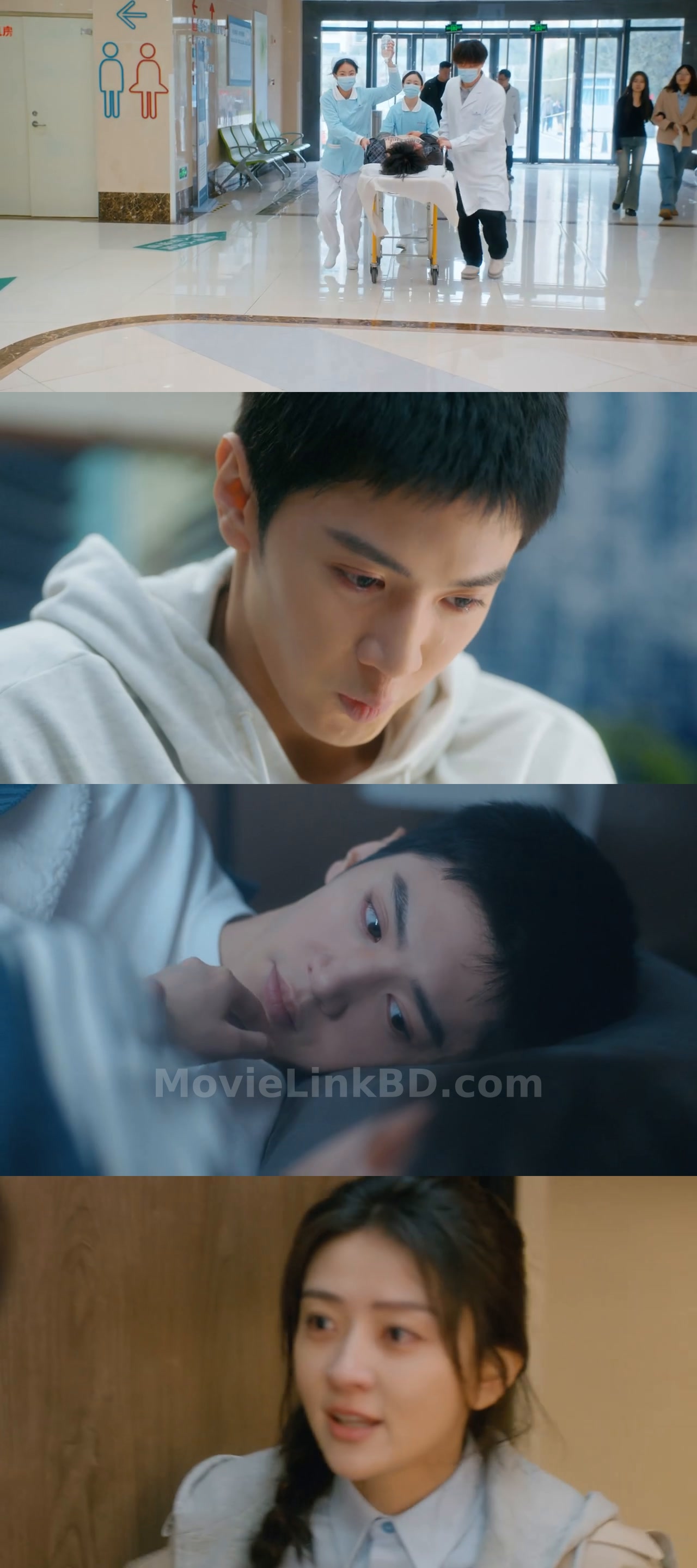 The White Olive Tree (2025) S01 Chinese Download | MovieLinkBD TV Season 1 Episode 38