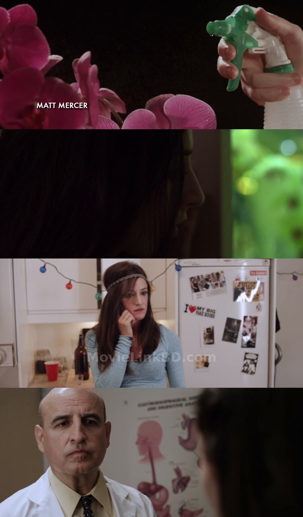 Contracted (2013) English Download | MovieLinkBD TV Movie