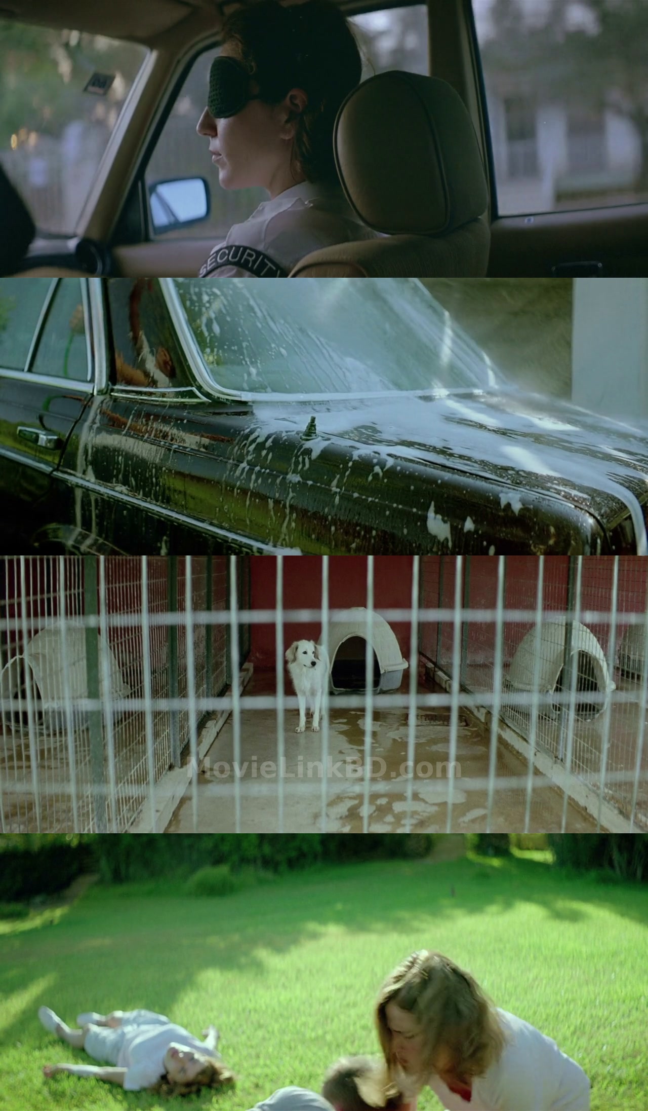 Dogtooth  18+ with Bangla Subtitle (2009) Others Download | MovieLinkBD TV Movie
