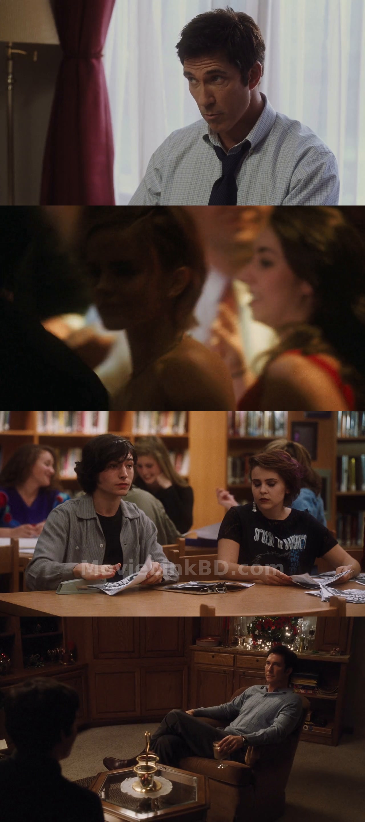 The Perks of Being a Wallflower (2012) Hindi Download | MovieLinkBD TV Movie