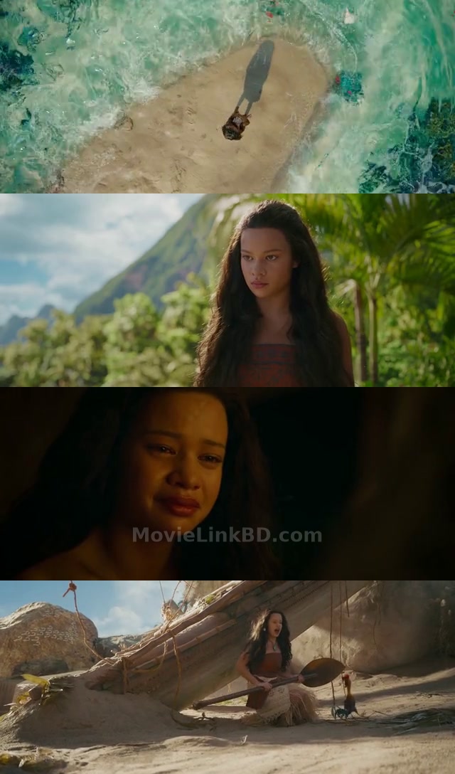 Moana (2026) English Download | MovieLinkBD TV Movie