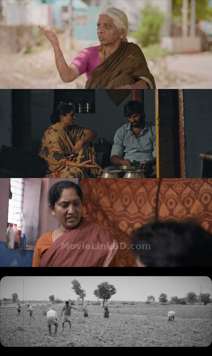 Cocoons (2026) Telugu Download | MovieLinkBD TV Movie