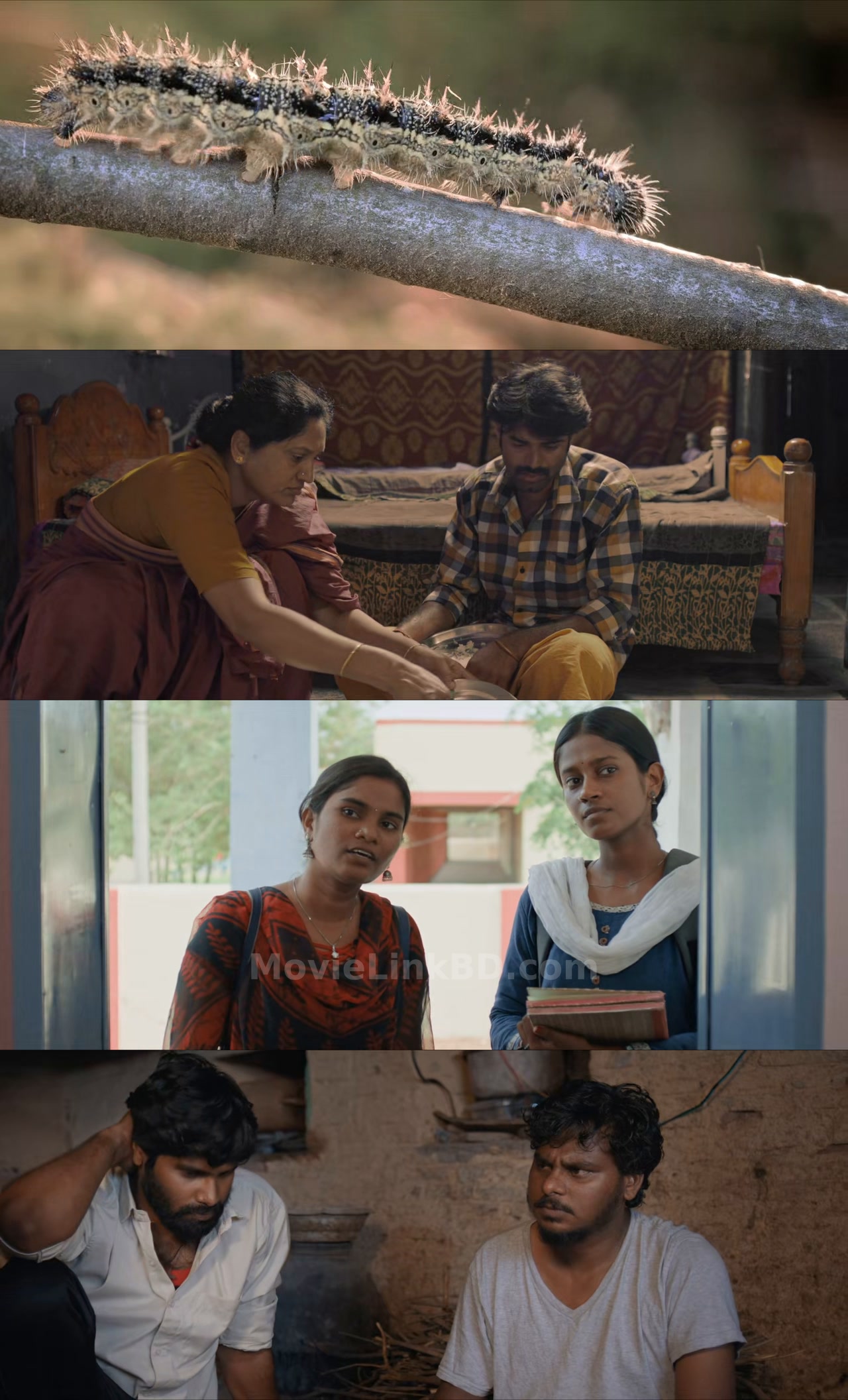 Screenshot of Cocoons (2026) Telugu Download | MovieLinkBD TV