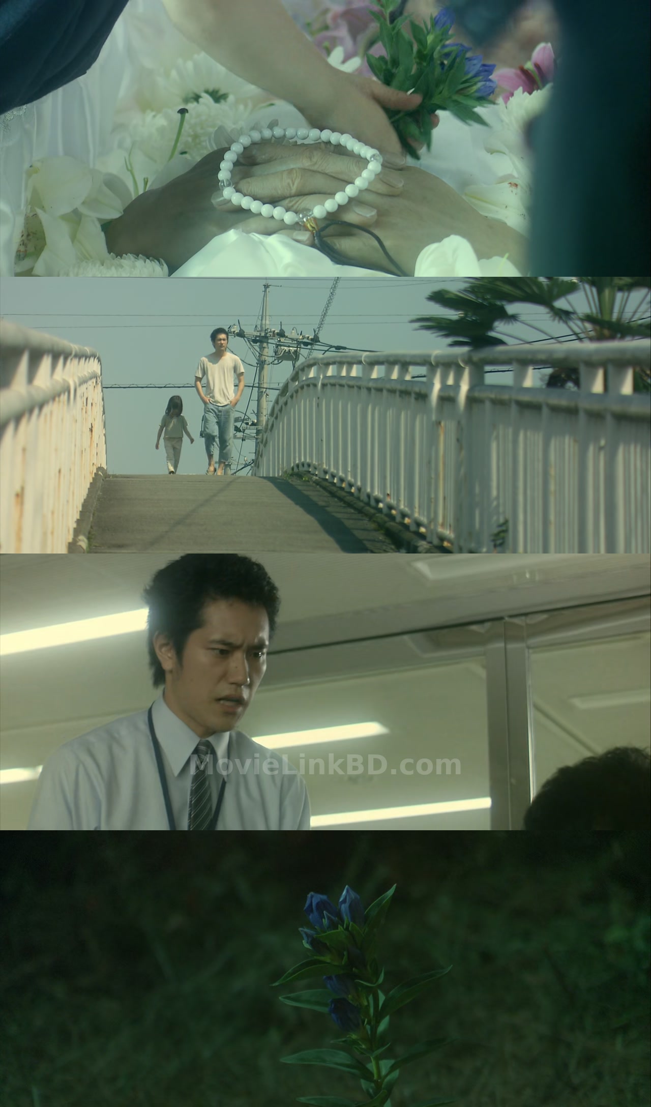 Bunny Drop  with Esub (2011) japanese Download | MovieLinkBD TV Movie