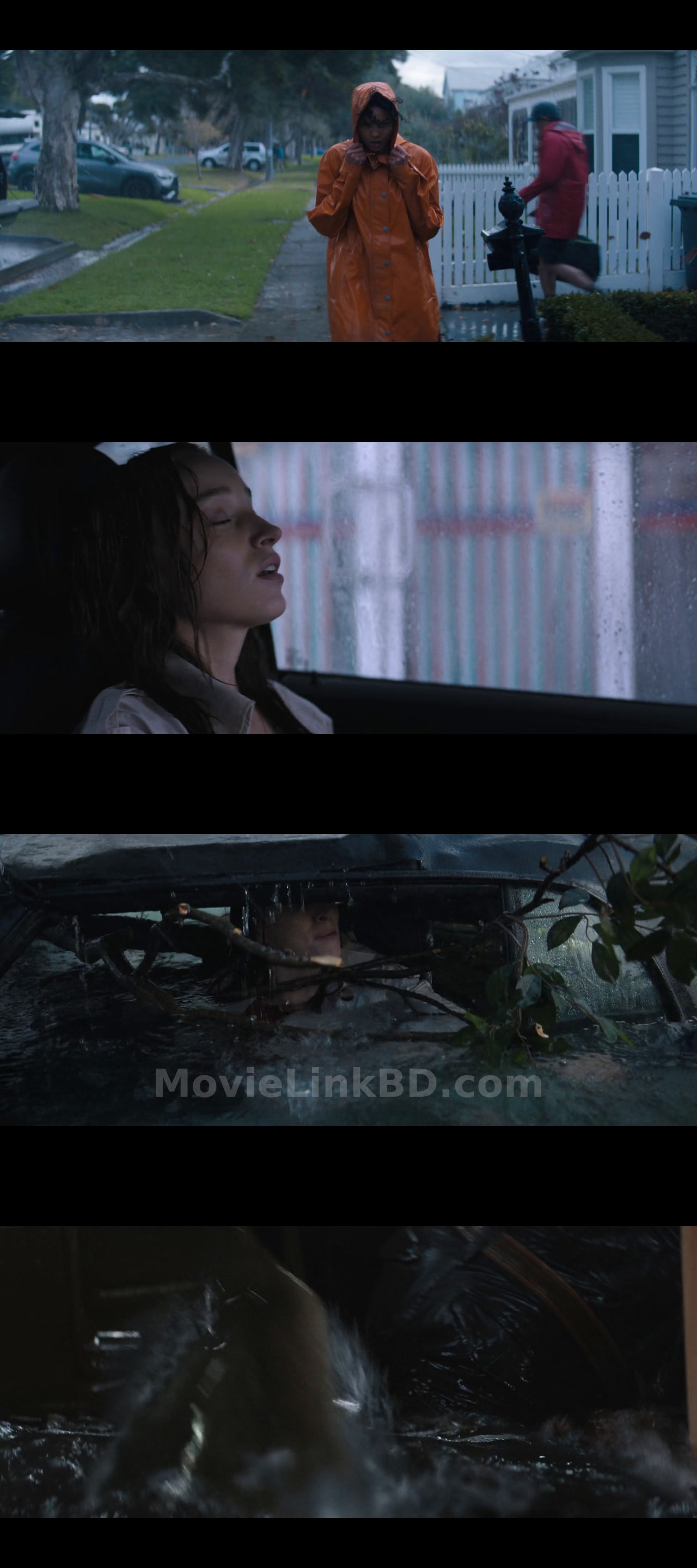 Beneath the Storm / Thrash (2026) Hindi Download | MovieLinkBD TV Movie