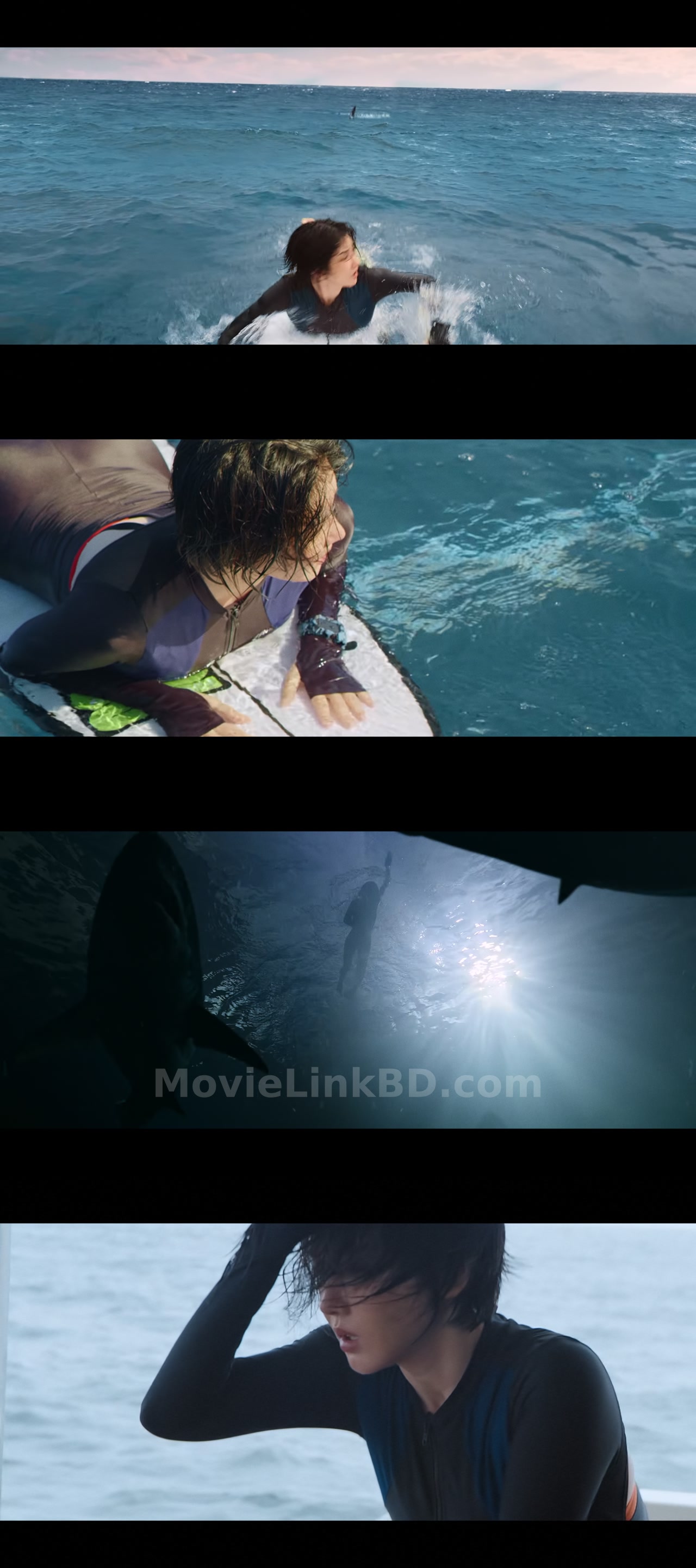 Screenshot of The Shallows  Hindi ORG (2025) Hindi Download | MovieLinkBD TV