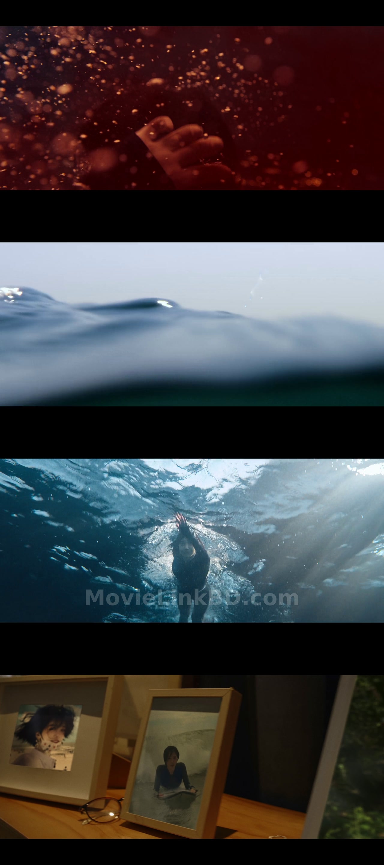 The Shallows  Hindi ORG (2025) Hindi Download | MovieLinkBD TV Movie